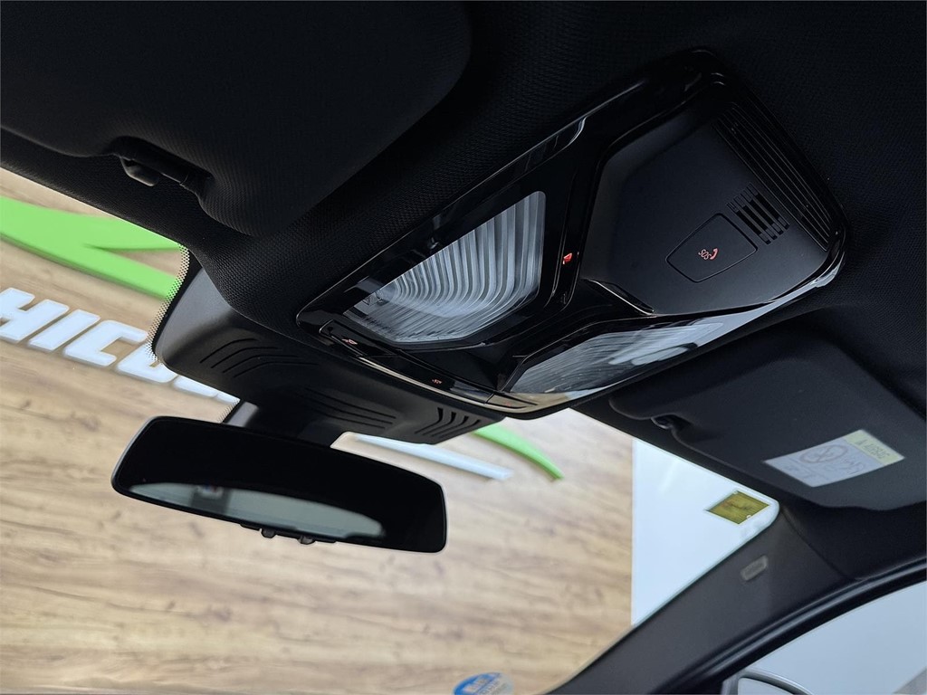 Foto 32 BMW X4 xDrive20d X-Line 2.0 190CV
