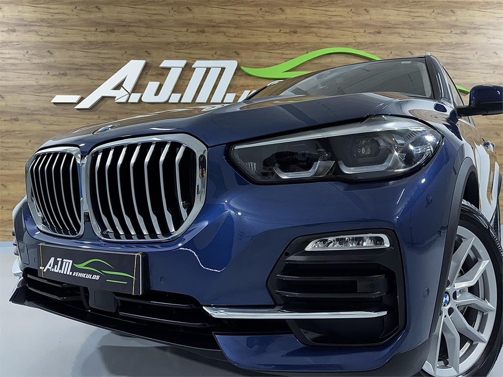 Foto 6 BMW X5 xDRIVE30d 3.0 286 CV 4x4 AUTO 8v