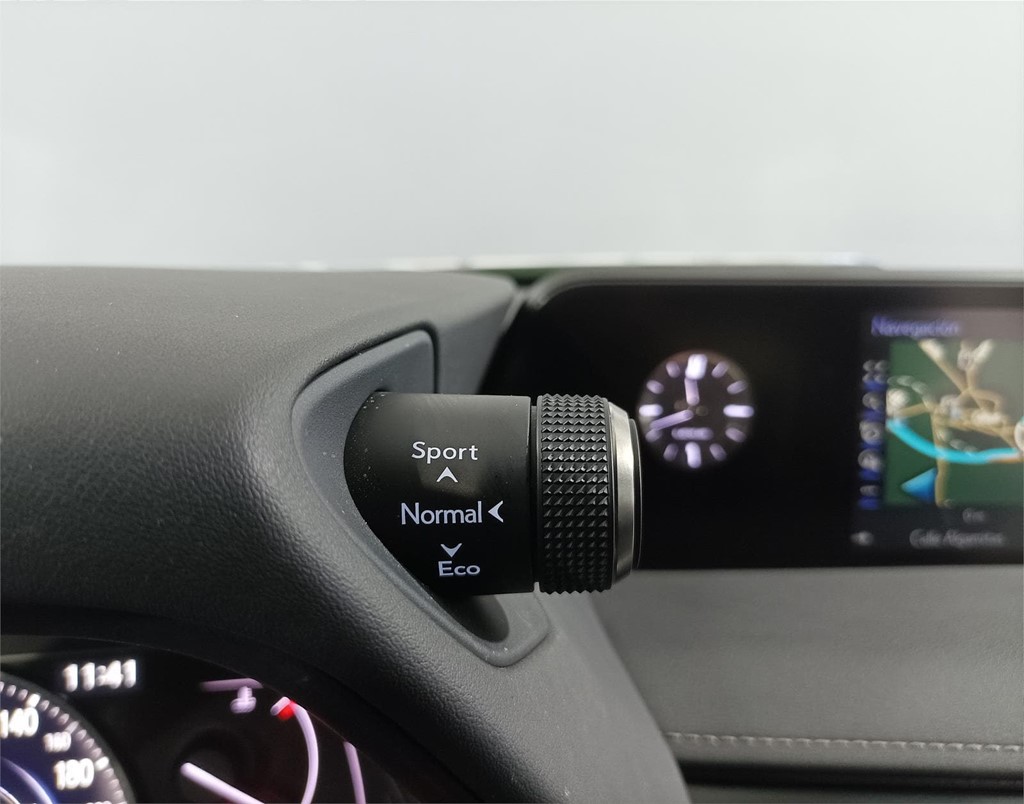 Foto 16 LEXUS UX 250H BUSINESS NAVIGATION 2.0 184CV