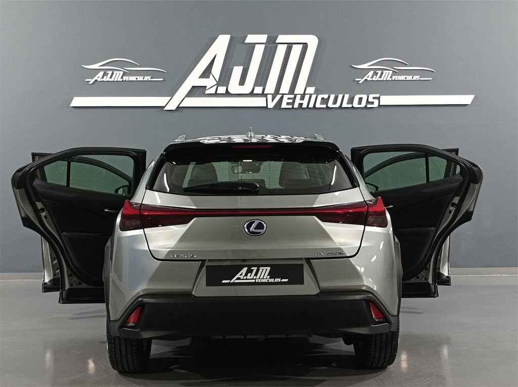 Foto 30 LEXUS UX 250H BUSINESS NAVIGATION 2.0 184CV