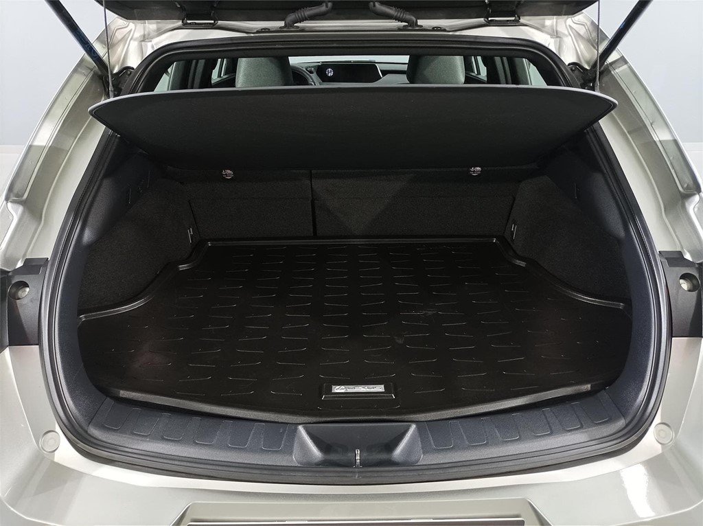 Foto 31 LEXUS UX 250H BUSINESS NAVIGATION 2.0 184CV