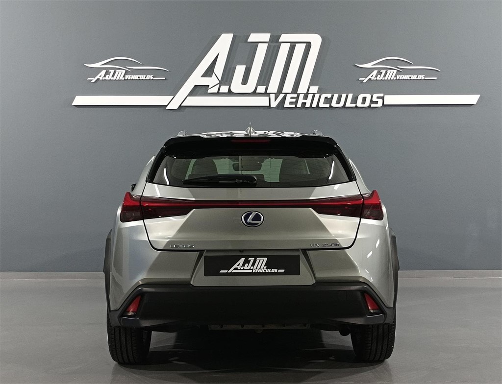 Foto 32 LEXUS UX 250H BUSINESS NAVIGATION 2.0 184CV