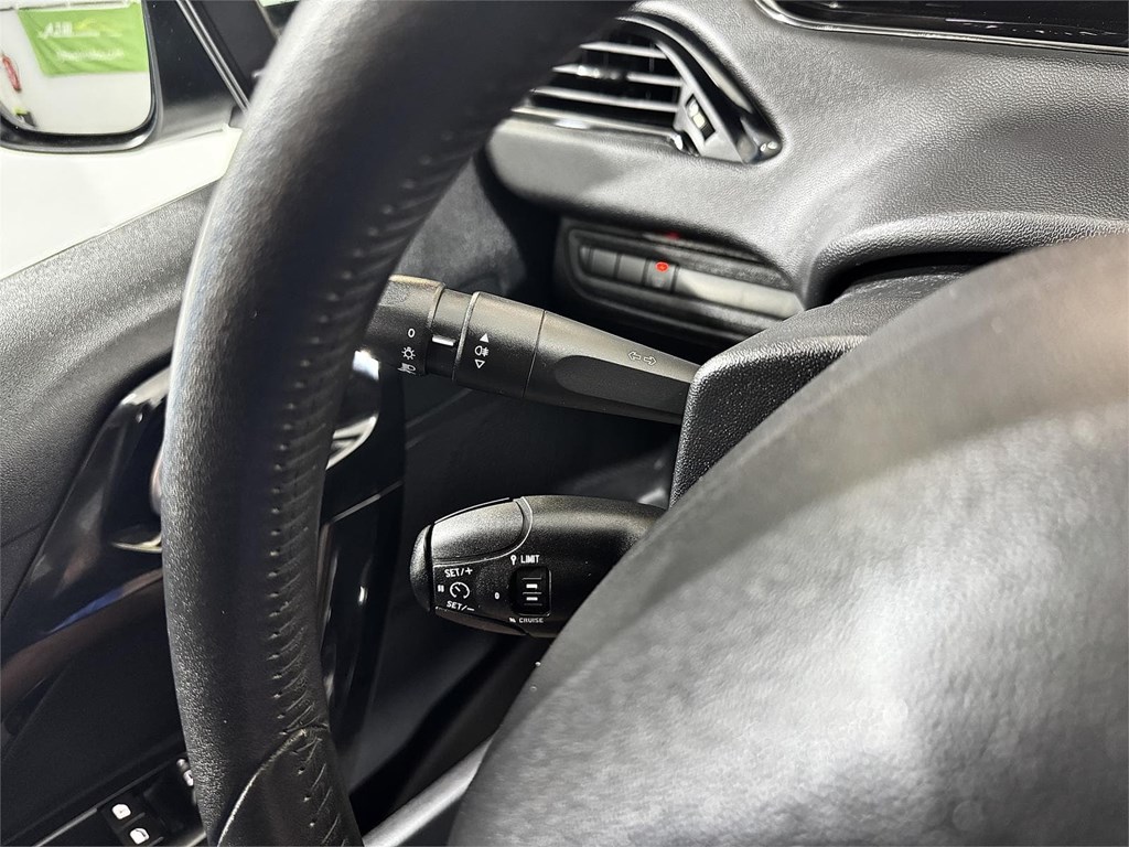 Foto 15 PEUGEOT 208 ACTIVE 1.5 100 CV